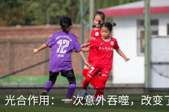 光合作用：一次意外吞噬，改变了整个地球