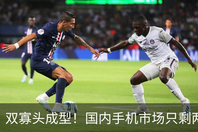双寡头成型！国内手机市场只剩两大玩家博弈