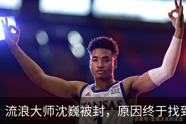 流浪大师沈巍被封，原因终于找到了