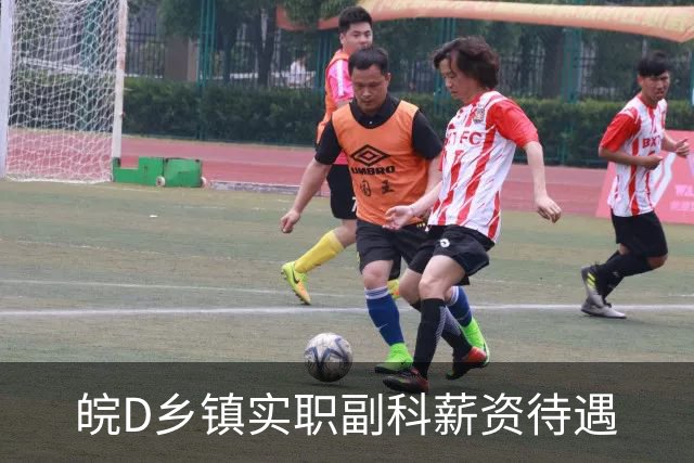 皖D乡镇实职副科薪资待遇