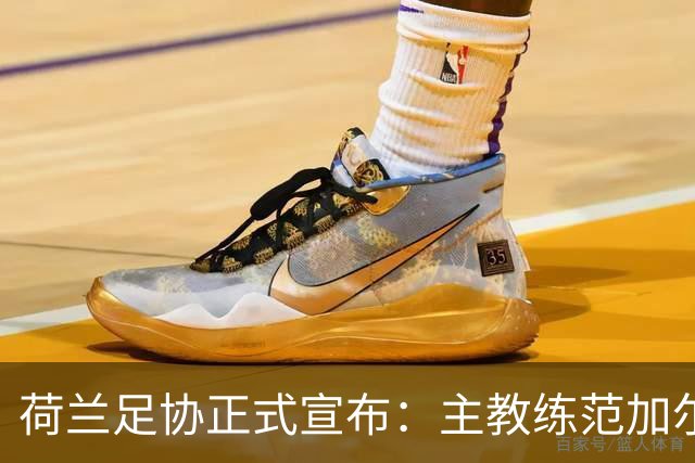 荷兰足协正式宣布：主教练范加尔离任