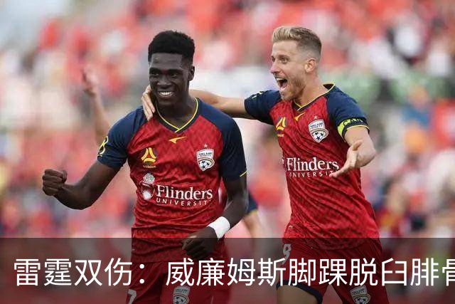 雷霆双伤：威廉姆斯脚踝脱臼腓骨骨折，华莱士肩唇撕裂